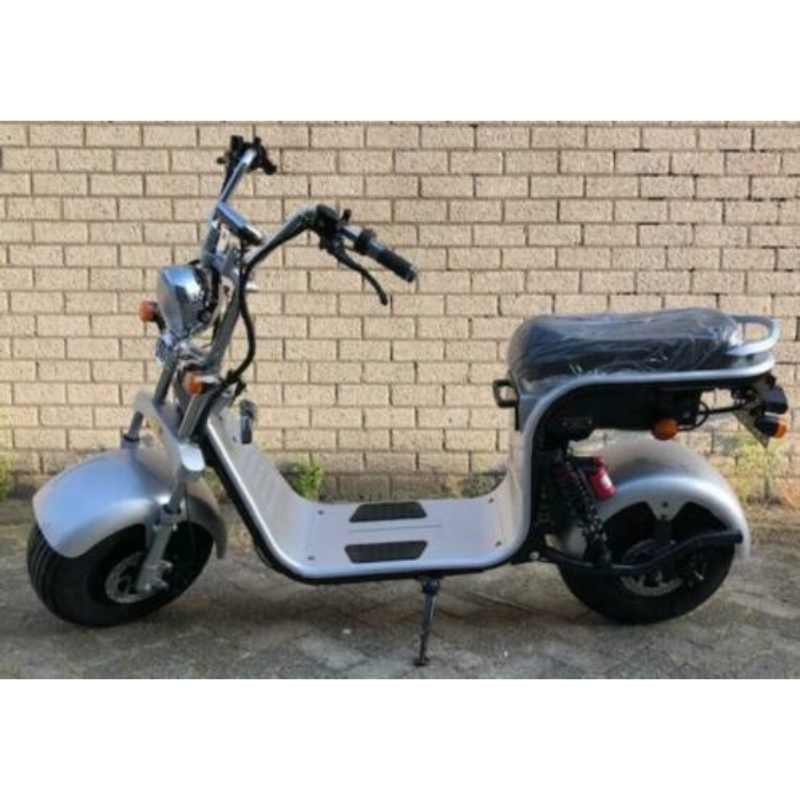 Elektrische Scooter