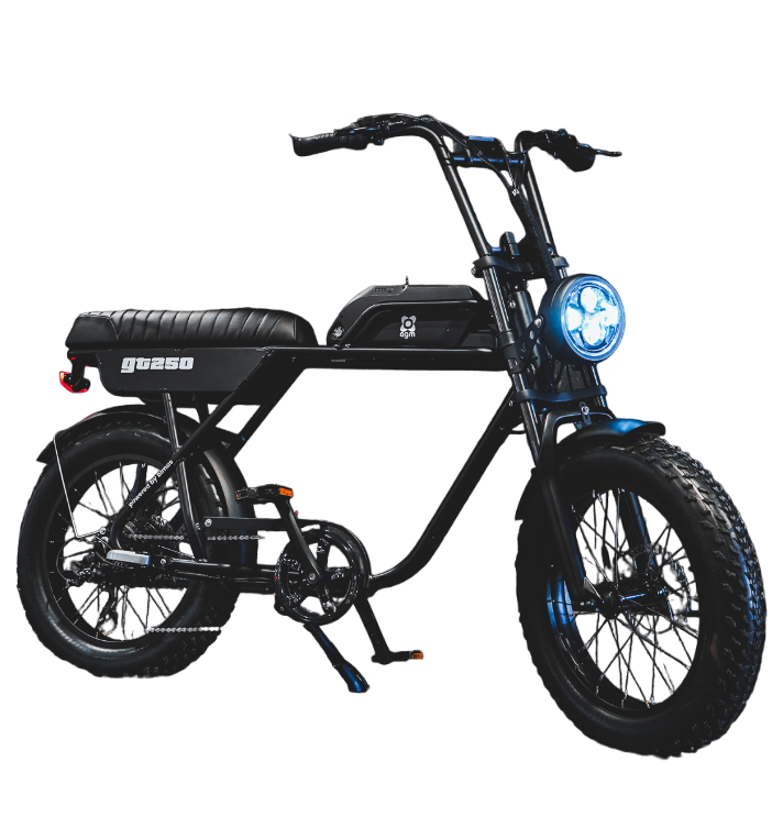 Fatbike Model 1